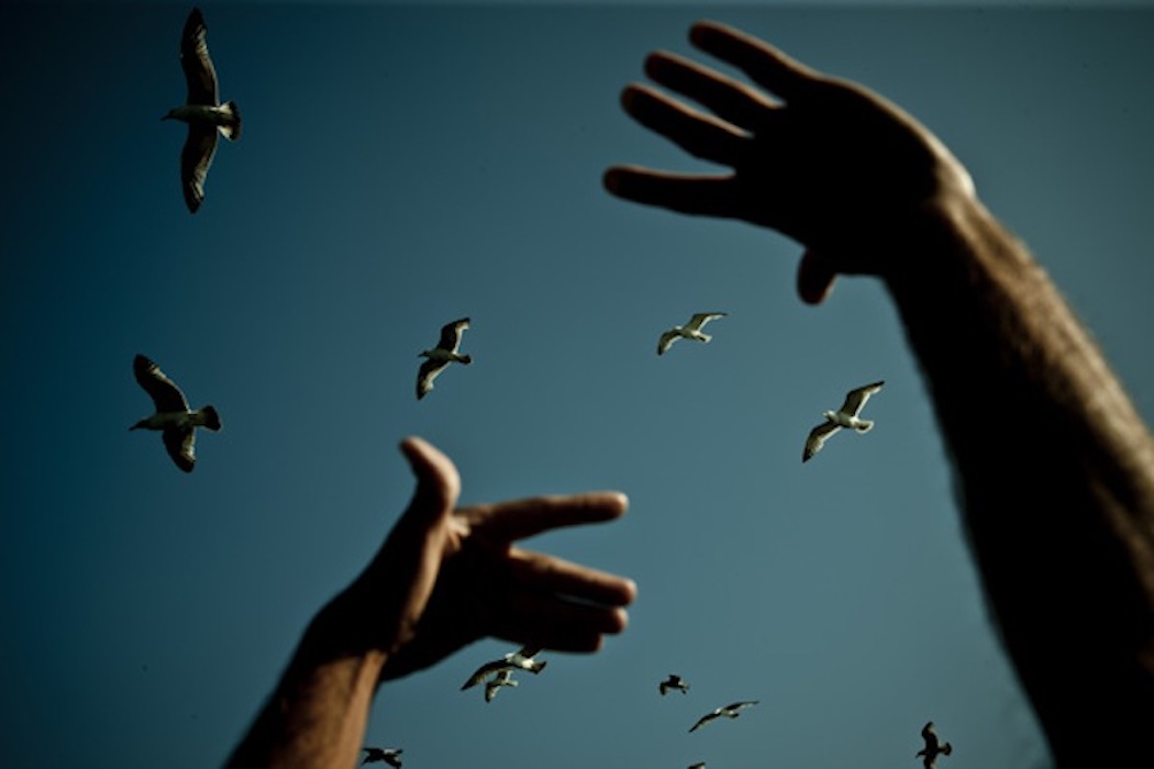 MEMORABLE FRAME 2013 “SEAGULLS”