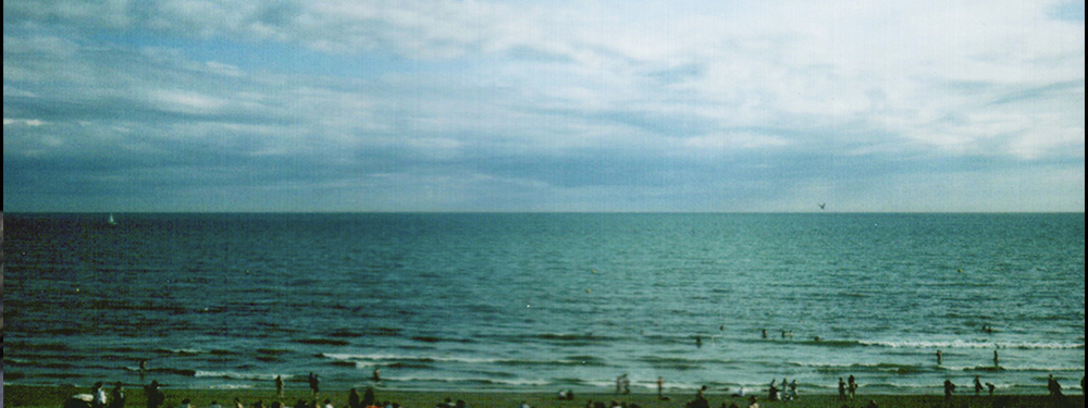 BRIGHTON SEA